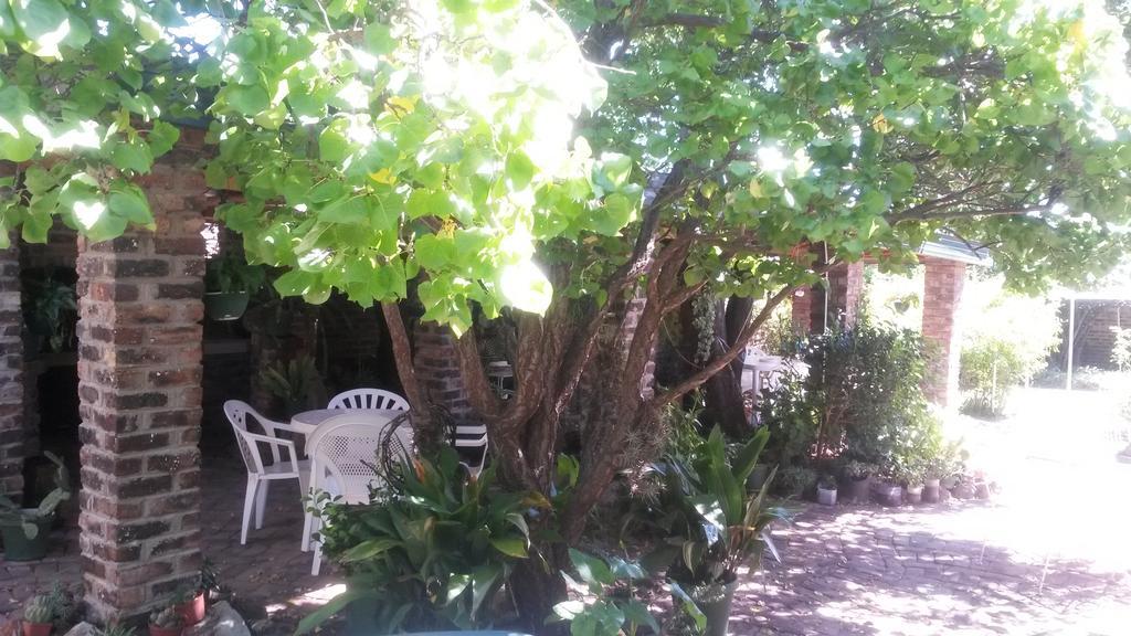 Onze Rust Guest House And Caravanpark Colesberg Exterior foto